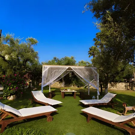 Casa vacanze Hacienda Città di Zante